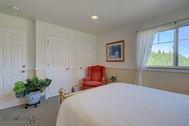 bedroom with two closets and carpet flooring