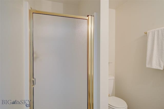 full bathroom featuring toilet and a stall shower