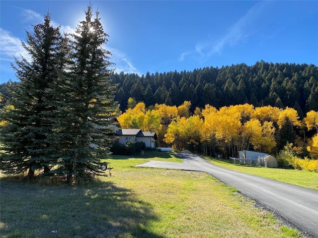 view of road featuring a wooded view