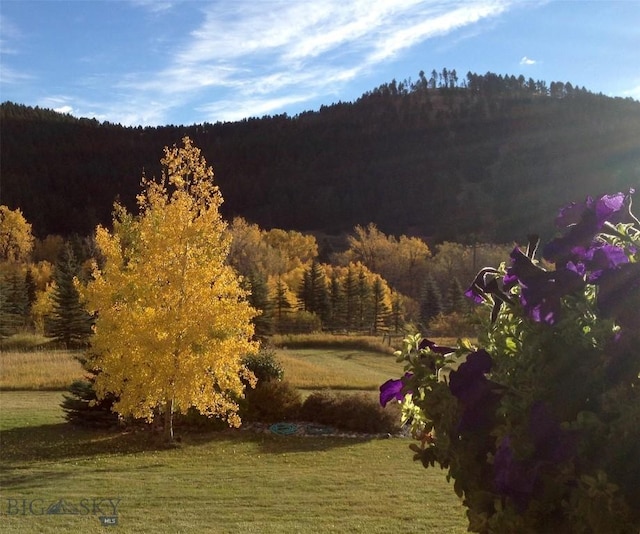 property view of mountains with a view of trees