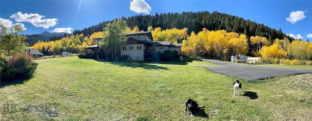 view of yard with a wooded view