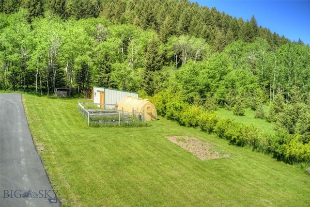 view of yard with an outdoor structure, an outbuilding, and a view of trees