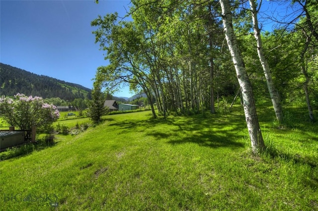 view of yard featuring a mountain view