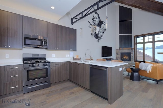 kitchen featuring light wood finished floors, open floor plan, stainless steel appliances, and a sink