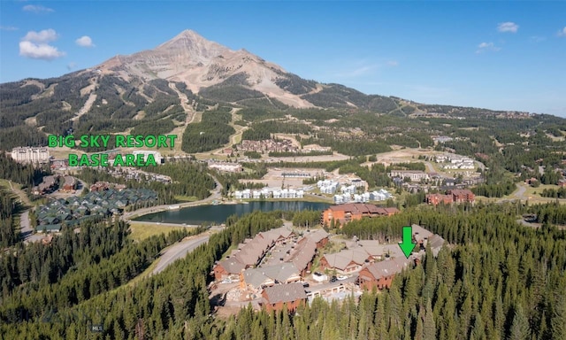 birds eye view of property featuring a water and mountain view