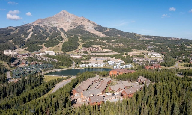 birds eye view of property with a water and mountain view