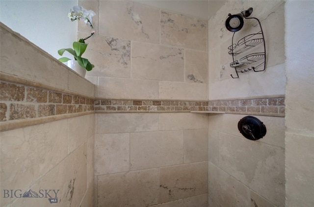 details with a tile shower