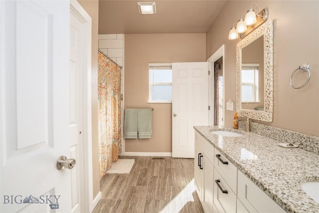 bathroom featuring double vanity, wood finished floors, baseboards, and a sink