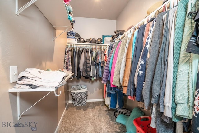 spacious closet with carpet floors