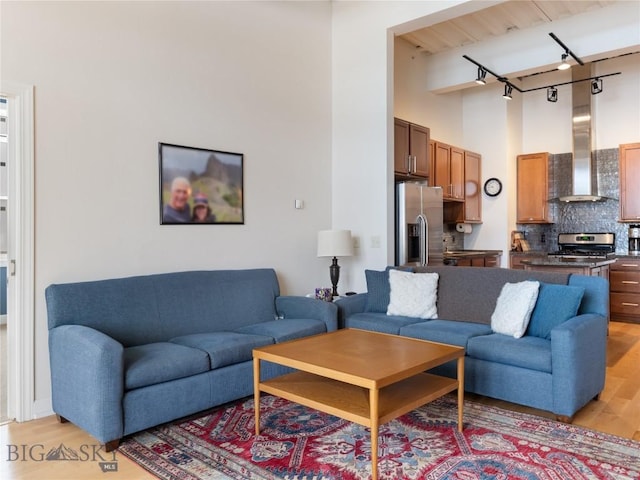 living room with light wood-style flooring, rail lighting, and a high ceiling