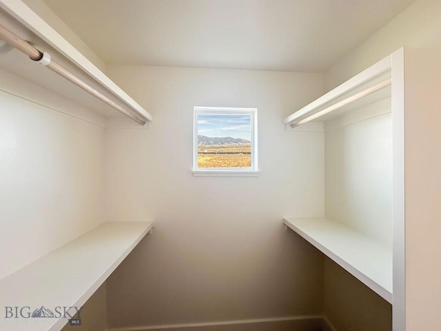 spacious closet with built in desk