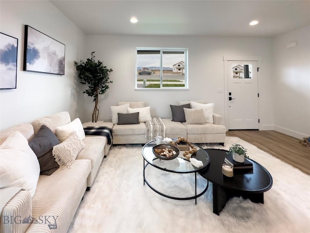 living area featuring recessed lighting, baseboards, and wood finished floors