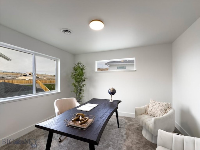 carpeted home office featuring baseboards and visible vents