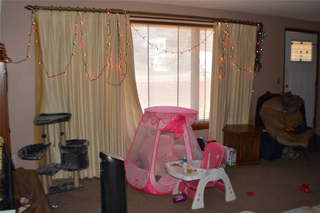 recreation room featuring carpet flooring