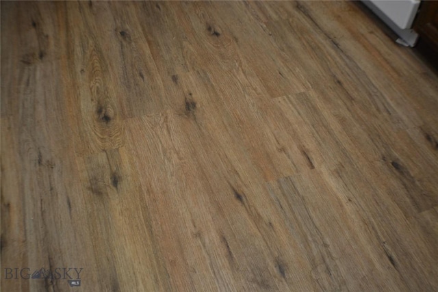 202 High St, Judith Gap, MT 59453 - interior details with wood finished floors