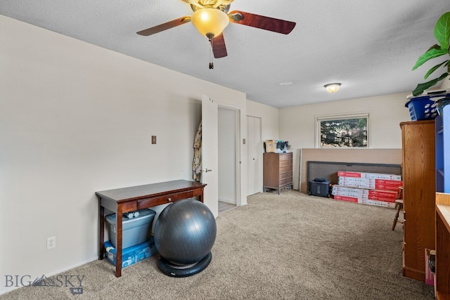 exercise area featuring a ceiling fan, carpet, and a textured ceiling