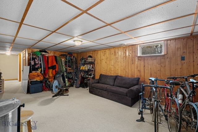 below grade area with wood walls and carpet floors