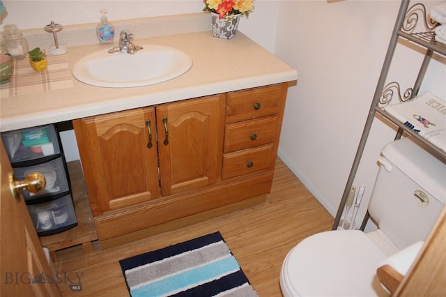 bathroom featuring vanity, toilet, and wood finished floors