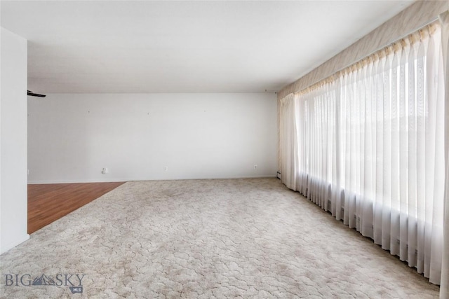 unfurnished room with light colored carpet