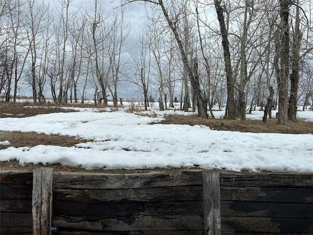 view of yard layered in snow