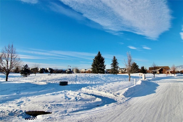 view of snowy yard