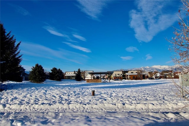 view of yard covered in snow