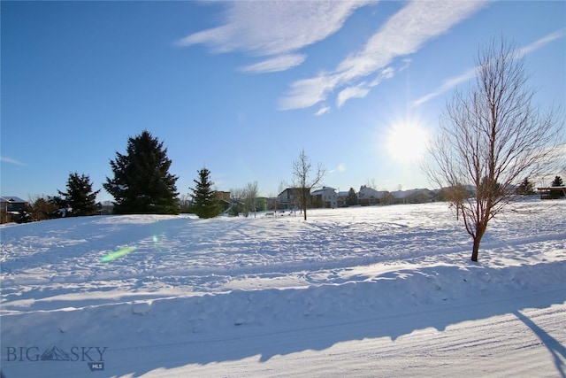 view of snowy yard