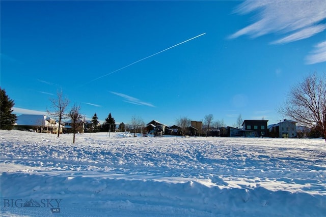 view of snowy yard