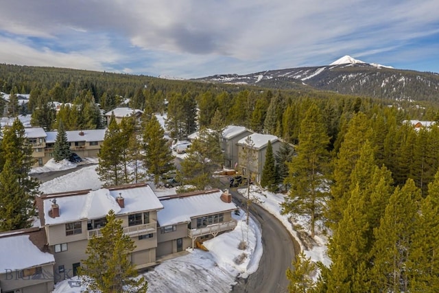 snowy aerial view featuring a mountain view and a view of trees