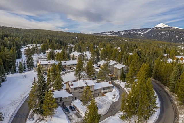 snowy aerial view featuring a mountain view and a view of trees