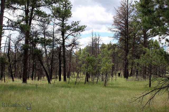 NHN Deer Ln Unit Eh-13, Roundup, MT 59072