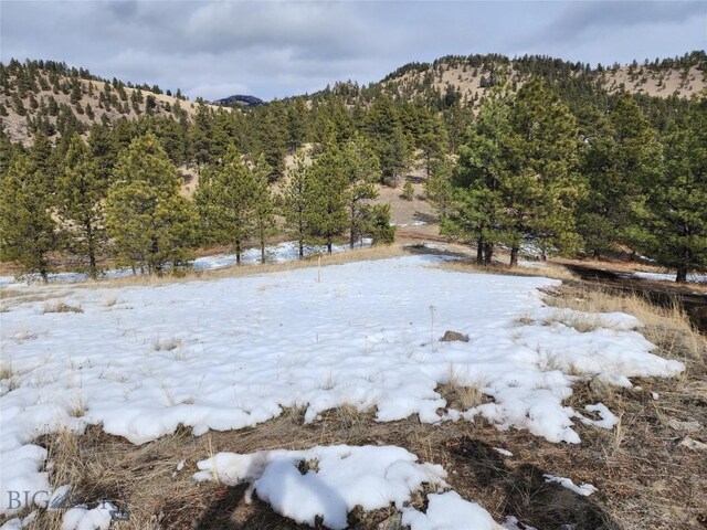 mountain view with a wooded view