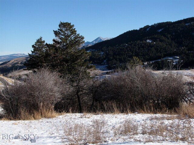 TBD Lupine Ln, Livingston, MT 59047
