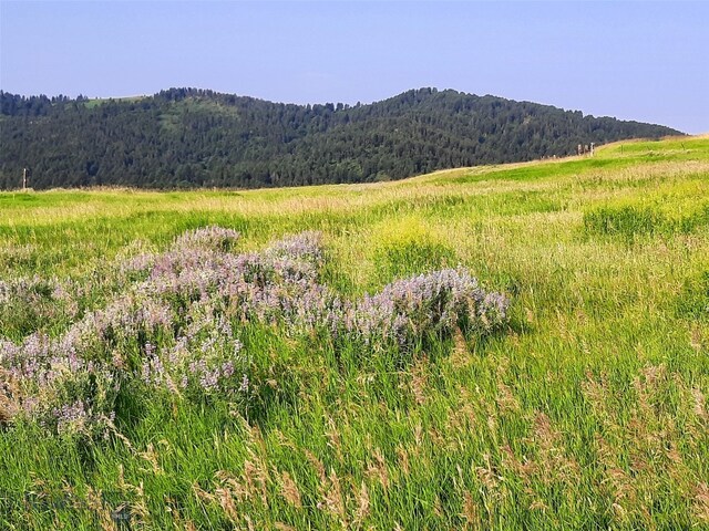 TBD Lupine Ln, Livingston, MT 59047