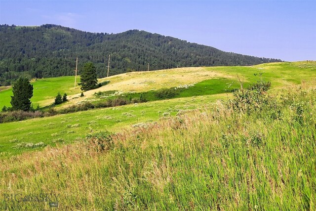 TBD Lupine Ln, Livingston, MT 59047