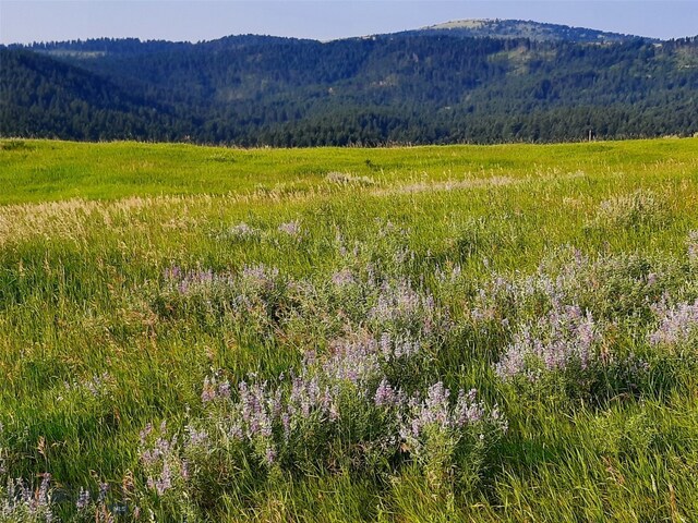 TBD Lupine Ln, Livingston, MT 59047
