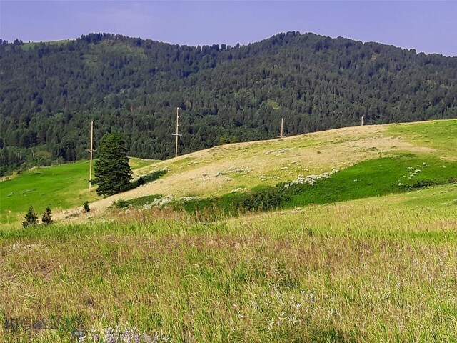 TBD Lupine Ln, Livingston, MT 59047