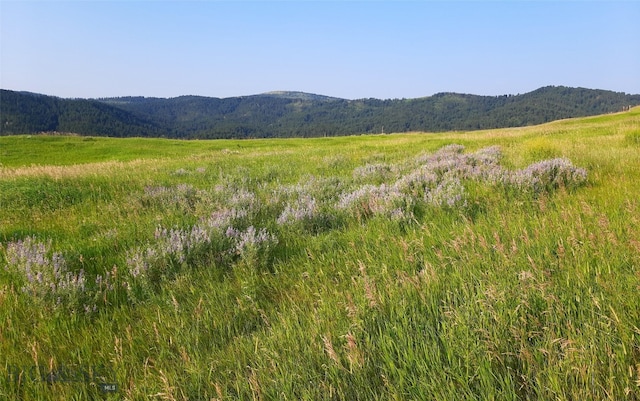 TBD Lupine Ln, Livingston, MT 59047