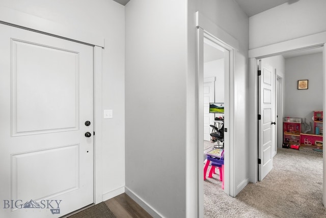 entrance foyer with baseboards and carpet flooring