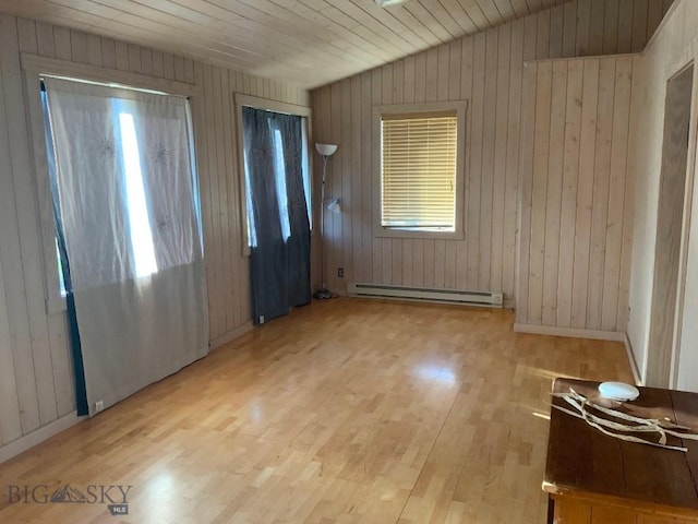 36 Rowdy Way, Ennis, MT 59729 - foyer entrance with baseboard heating, wood finished floors, and wooden walls