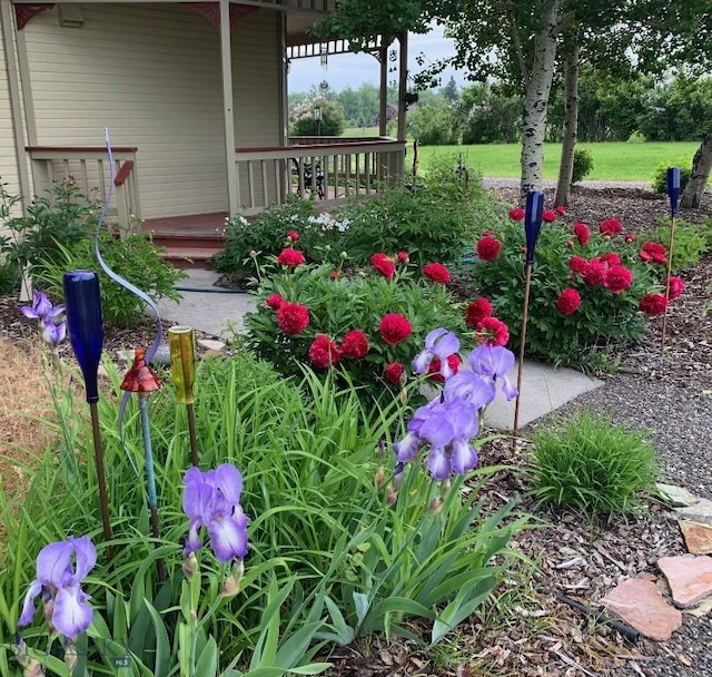 175 Vandyke Rd, Bozeman, MT 59718 - view of yard