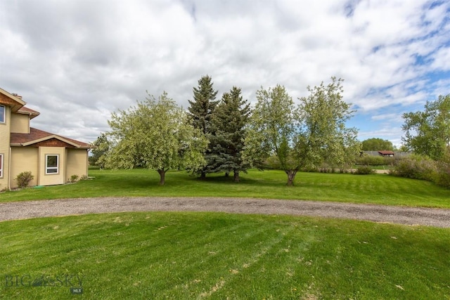 175 Vandyke Rd, Bozeman, MT 59718 - view of grassy yard