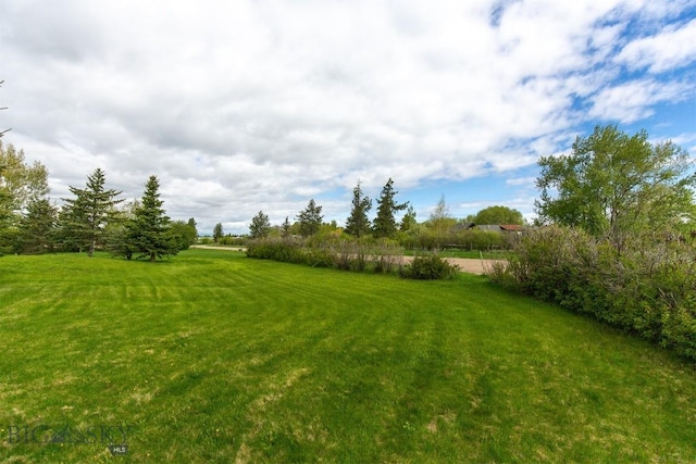 175 Vandyke Rd, Bozeman, MT 59718 - view of grassy yard featuring a view of rural / pastoral area