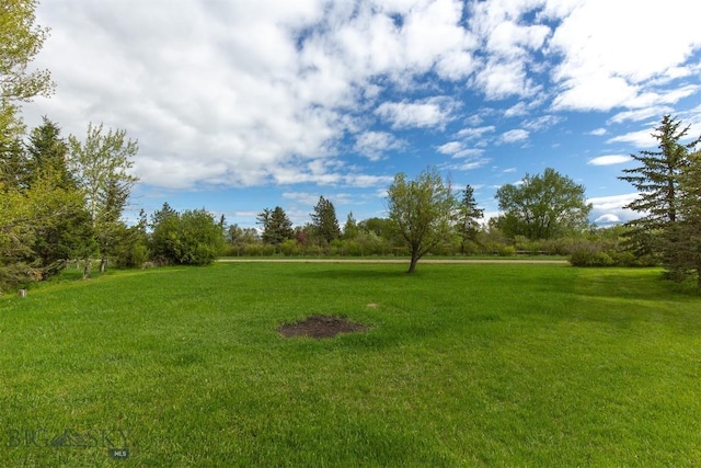 175 Vandyke Rd, Bozeman, MT 59718 - view of grassy yard