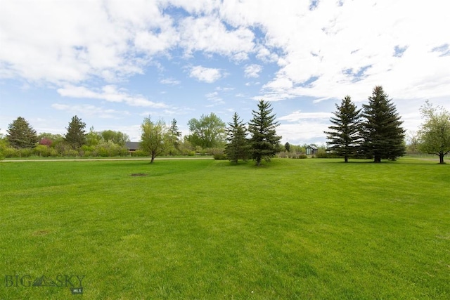 175 Vandyke Rd, Bozeman, MT 59718 - view of green lawn