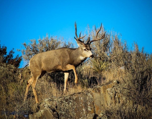 LOT173 Hilltop Rd, Manhattan, MT 59741