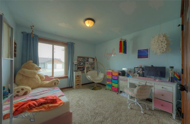 813 Pleiades Pl, Livingston, MT 59047 - bedroom featuring carpet
