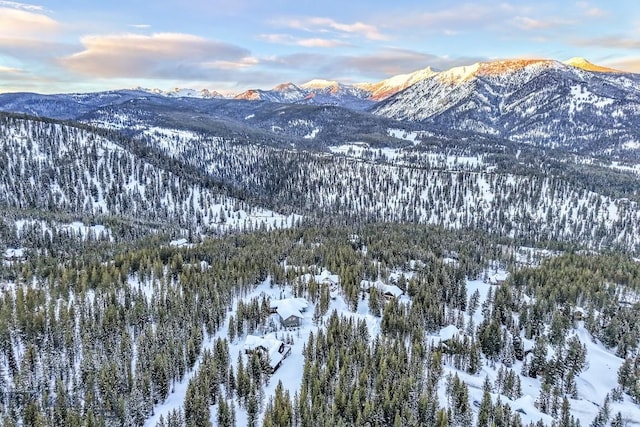 214 W Pine Cone Ter, Big Sky, MT 59716 - view of mountain backdrop with a forest