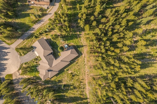 214 W Pine Cone Ter, Big Sky, MT 59716 - view of property location