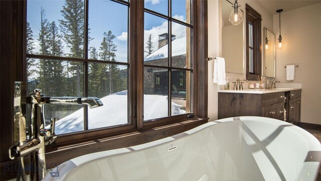 11310 Taiga Trl, Bozeman, MT 59715 - full bathroom with a freestanding tub, vanity, and healthy amount of natural light